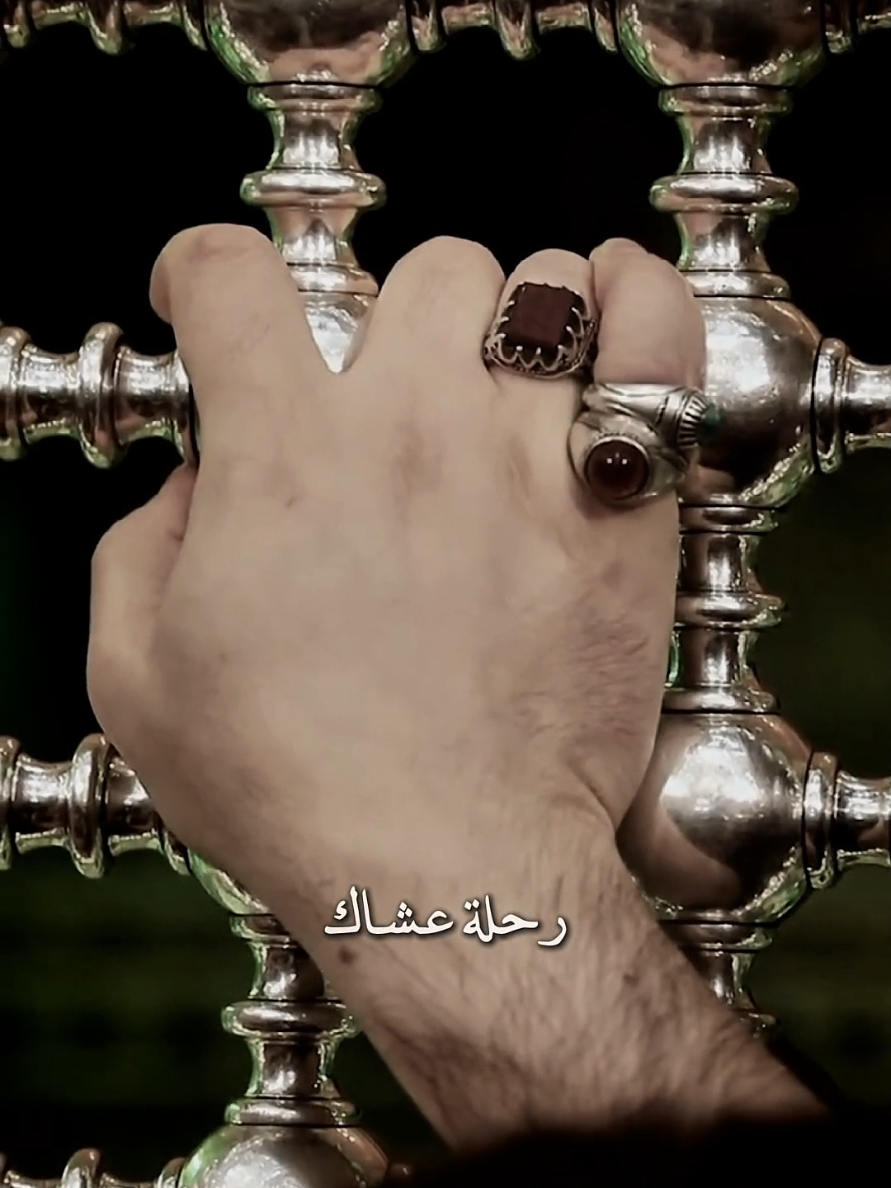 يا ابو فاضل أمان الدنيا يم بابك              #ياحسين  #ابا_الفضل_العباس  #الامام_العباس_عليه_السلام🍂  #عمار_الكناني  #جديد #محرم #على_حب_الزهراء #منشوري  #اكسبلورexplore  #tiktok 