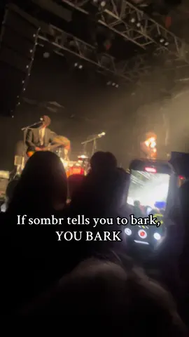 Can’t belive I saw this live #fyp#sombr#concert#bark#meow#sombrconcert#goodmusic#music#song#special#fyppp#fypage#viral