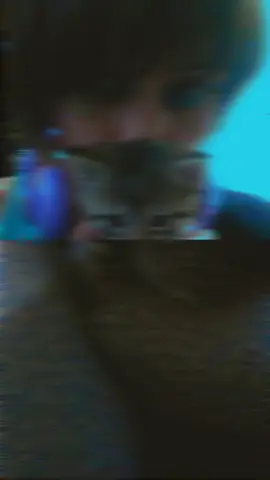 #CapCut #kittylove #catlove #catlovers #tabbycat #heyokaempath #didgirl #securitypet 