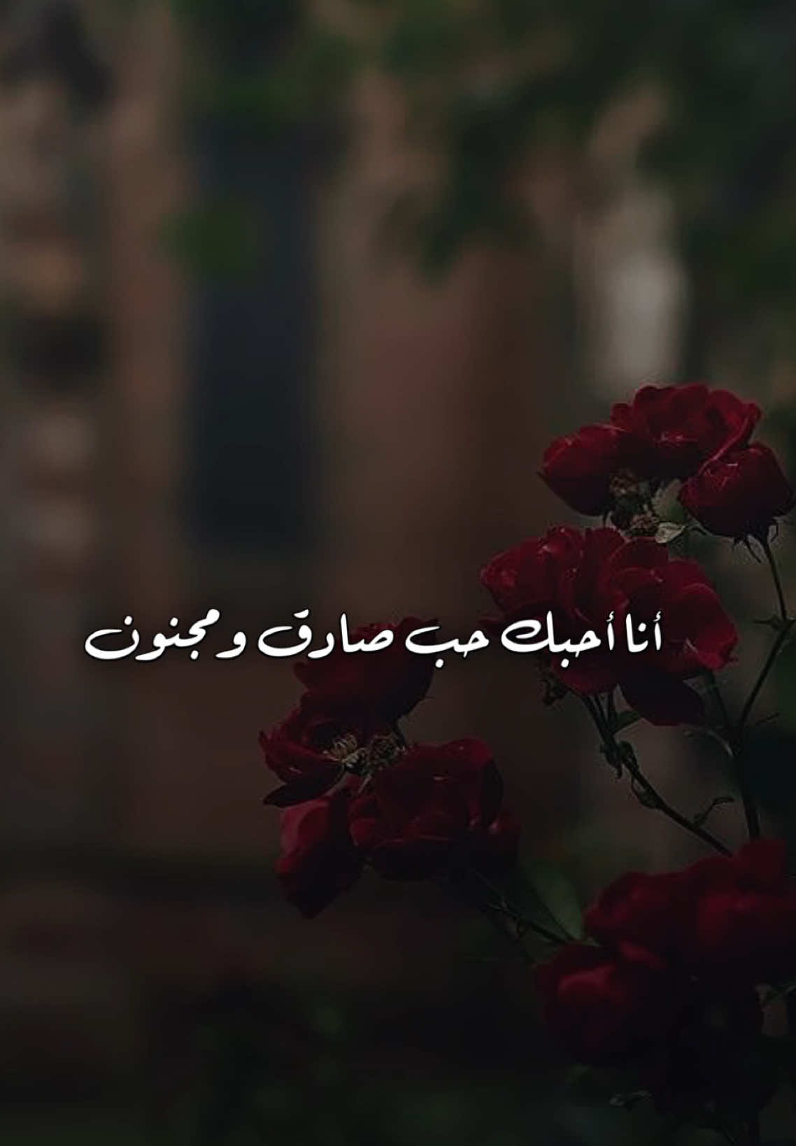واحساسي  ياخذني عالي من ارضك لي سماك✨❤️#مسرور_الفخر #انا_احبك #عبدالمجيد #اكسبلورexplore #اكسبلور #capcut #عبدالمجيدعبدالله #عبدالمجيد_عبدالله #مجودي #مجود #مجيديات_مجيد_عبدالمجيدعبدالله🎶🎵🎻 #مجيديات 
