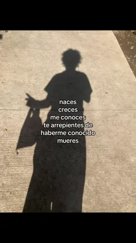 lamea vola kompañero #fyp #fypシ #fypシ #parati #paratiiiiiiiiiiiiiiiiiiiiiiiiiiiiiii 