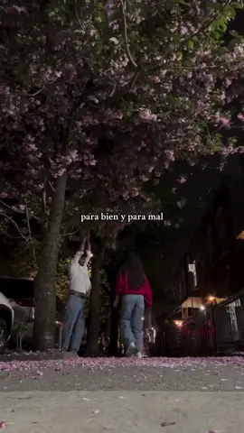 Qué bonito es❤️‍🩹 #paradedicar #amor #fyp #frasesdeamor #couplegoals #couple #reflexion #parejas #foryoupage #contenido #fypシ゚ #videoviral #trendingvideo #paratiiiiiiiiiiiiiiiiiiiiiiiiiiiiiii 