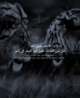 #fypp #الخال💔 #قصف💥_جبهات🤦😅 