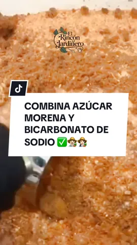 🍅 ¡AZÚCAR MORENA + BICARBONATO! 🌿 ¿Querés una cosecha abundante y sin complicarte? Esta receta natural es oro puro para tomates, pimientos, pepinos y más. 🔎 FÓRMULA GRATIS DEL MAESTRO ✅ 10 g de azúcar morena ✅ 20 g de bicarbonato de sodio ✅ 4 galones de agua limpia 👉 Regá la base de tus plantas cada 7 a 15 días ⚠️ Resultado: crecimiento acelerado, plantas más fuertes y frutas que no vas a poder cosechar del todo de tantas que da. 💚 Guardá este tip, tocá el corazón y seguime si amás los trucos de jardinería natural. #trucosdejardineria #huertaorgánica #fertilizantenatural #jardin #jardineríafácil #cosechaabundante 