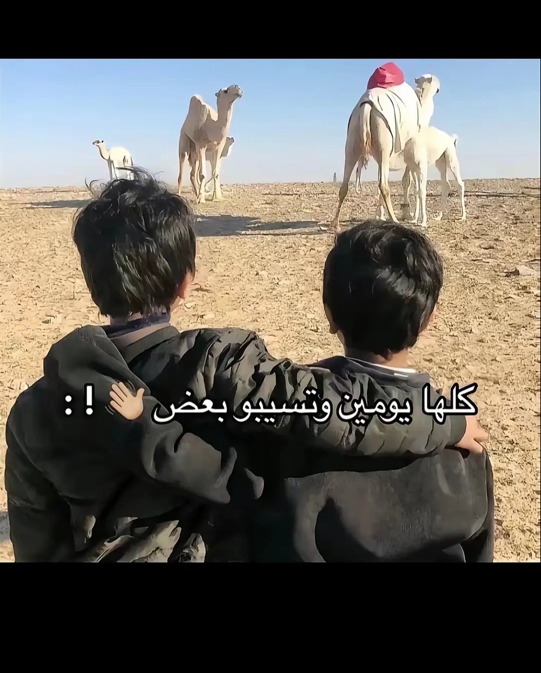 گليبي ❤️
