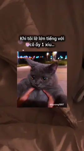 “Không ai khộ bằng mình mà” she said 😿🤣👌 #cute #dethuong #xuhuong #meme #xuhuongtiktok #hyvong1997 #foryou #tinhyeu #funny #foryoupage #Love 