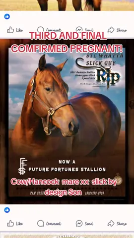 #futurity #bfa #barrelhorsetrainer #horseforsale #foal #oklahoma #ttmhorses #fyp #barrelracers #aqha #apha 