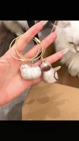 Cute Cat Hair Storage Pendant #cat #pets #creative #cute #gift #DIY #handmade #fyp 