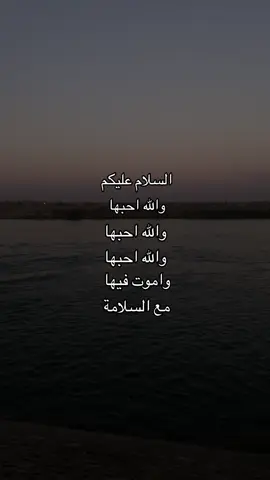 #حب #الحب #عشق #احبهاااااااااا😖💘💘 