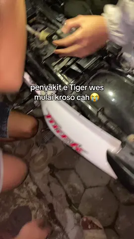 tunjukkan pesonamu🤣#fypシ #tigergank🤙 #4u 