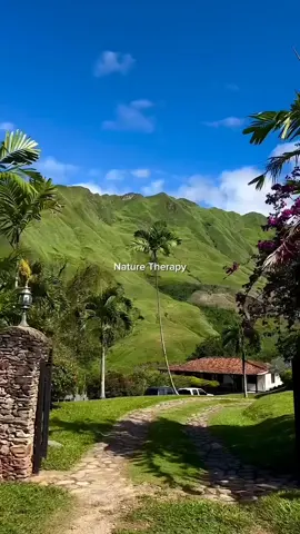 #nature #therapy #rural #vibes #mato #green #natureza 
