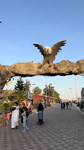 #اكسبلور #الطايف #حديقة_الحيوانات #حديقة_الحيوانات_الطايف_الردف #تصويري #zoo 