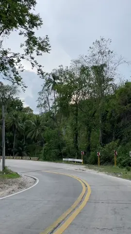 Ma appreciate jud nato ang view even if its green leafy ra ang background cause of their unique shape #roadtrip #tiktokviral #pypシ #highlights #naturelover 