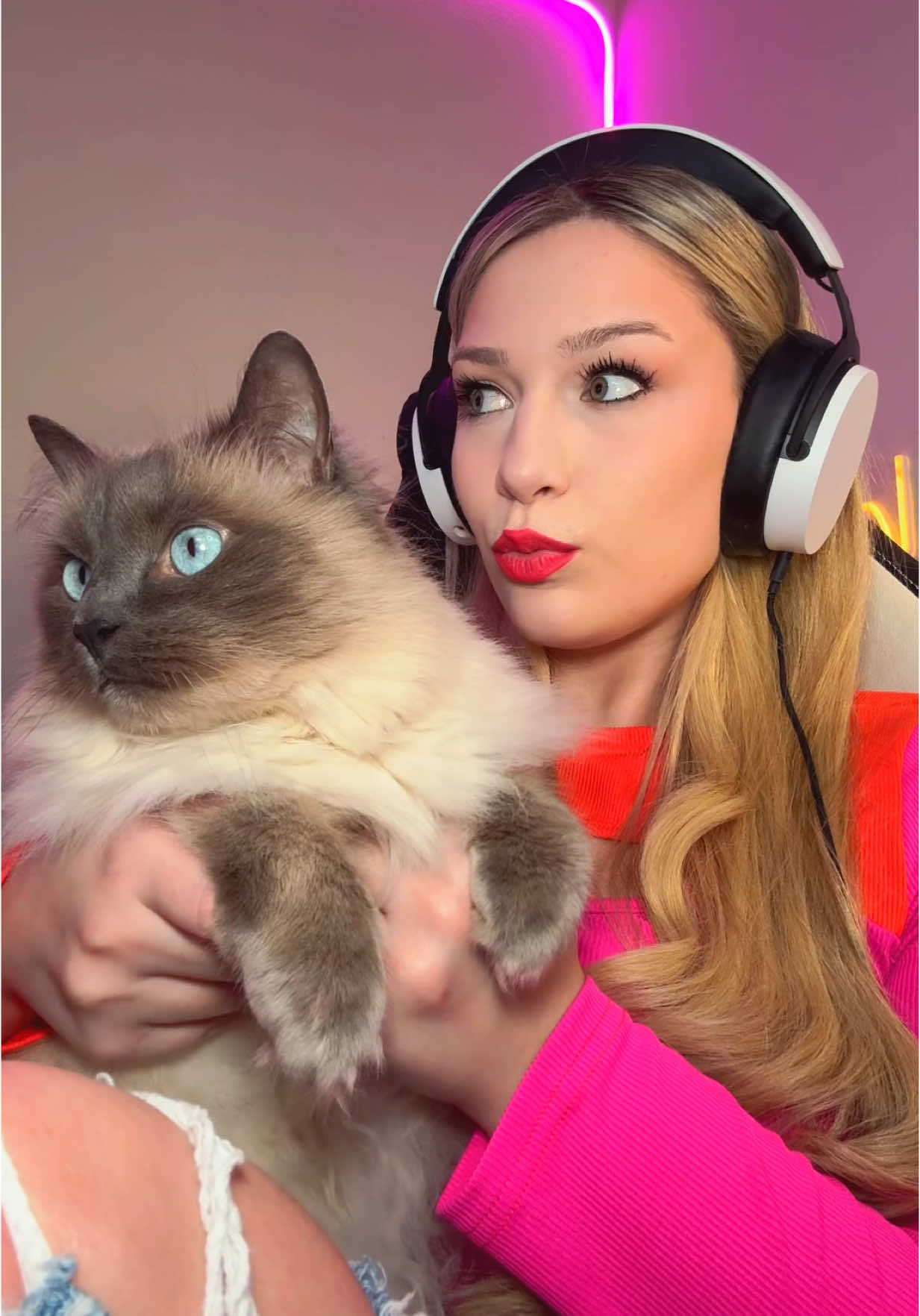my cat talia ❤️ my streaming buddy 