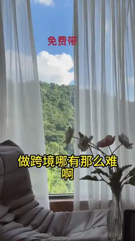 我在TikTok跨境电商一路领先，想创业我可以免费教学#跨境电商喜欢可以关注我 