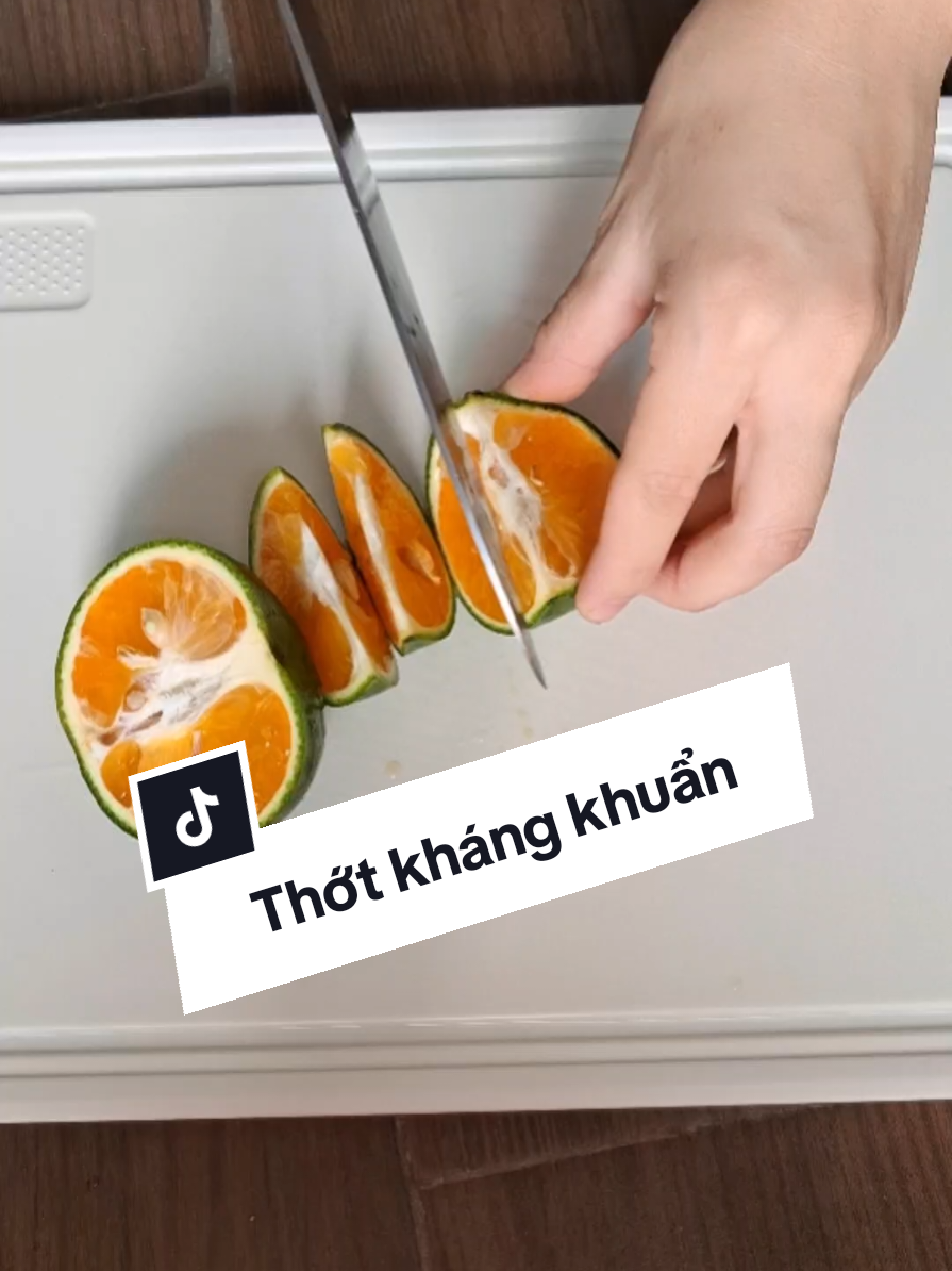Thớt 2 mặt kháng khuẩn #thotkhangkhuan #thotinox304 #thottimely #timely #thotnhuappp #review #giadungtienich #thomtranreview 