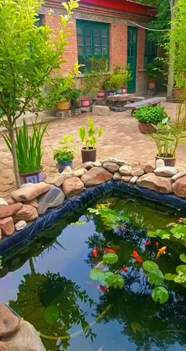 #tiktokgiaitri #xuhuongtiktok #xuhuongfacebook #giaitri #cácảnhđẹp #mêcácảnh #xuhuong #tiktok #cácảnh #cá #fpy #shortbodyfish #cachepphitan #cacanh #cachepsutu #cachepphitanvip #facebook #cacanhanhsaomai #chepsutu #nghechuchot #viralvideo #LearnOnTikTok #cachepsutuvip #carong #arowana #caloc #cakieng #trend #ott #phitan #cáchépsưtử #chépsưtử #chépsưtửtrắng #thuysinh #guppy #betta #aquarium #locnuoihoca