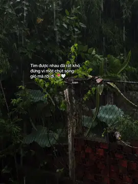 đừng vì một chút sóng gió mà rời đi 🍀