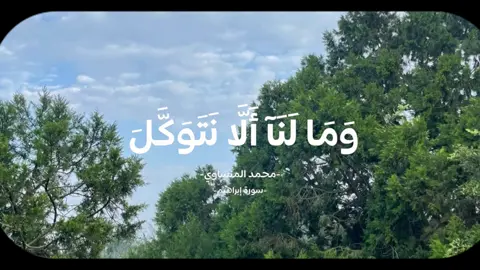 #قران_كريم #محمد_صديق_المنشاوي #اذكروا_الله #explore 