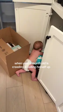 It’s too funny to me she’s so little 🤣 is anyone else’s 6 month olds crawling and pulling themselves up on things? #6monthold #6monthmilestones #crawlingat6months 