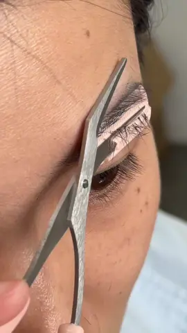 Cejas techo de casa #girls #mexico #eyebrowtrimmer #beauty #cejasperfectas 