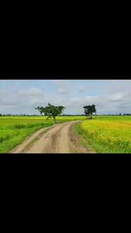 ဘယ်နေရာပဲရောက်ရောက် ကိုယ့်ရပ်ရွာကိုတော့အမြဲသတိရကြတာပါပဲ ❤️#အညာအလှအညာသဘာဝ🥰 #အညာမြေရဲ့အလှ #အညာဓလေ့တောဓလေ့ 