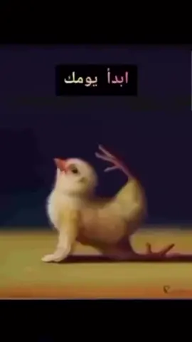 هههههههههههههههههههههههههههههههههههههههههههههههههههههههههههههههههههههههههههههههههههه#كوميدي #ضحك😂 #مالي_خلق_احط_هاشتاقات🧢 #مالي_خلق_احط_هاشتاقات🦦 #مشاهير_تيك_توك bloxworld9827307