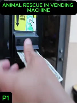 #rescue #animal #knowledge #explore #explain #Tatcha 