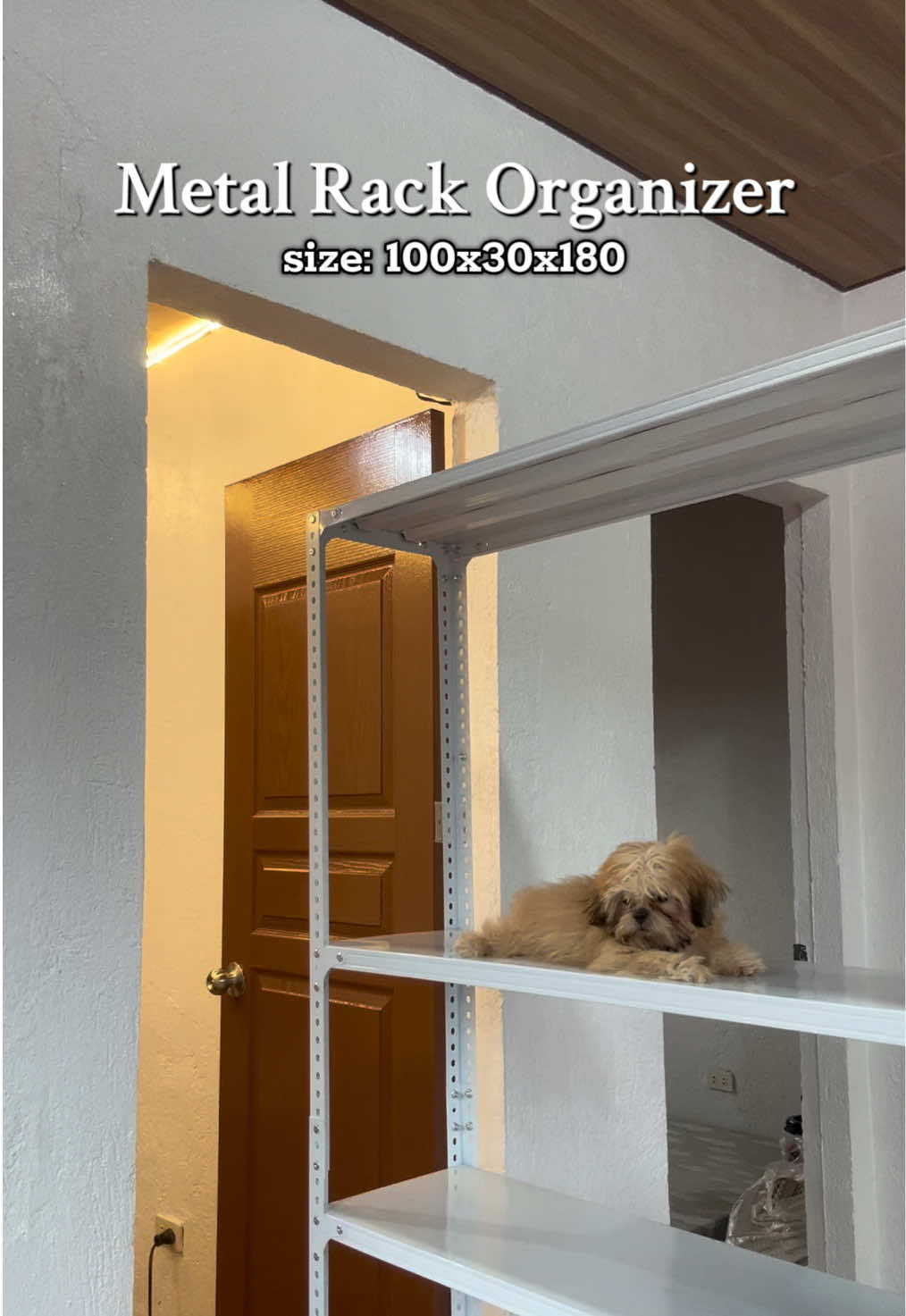 5 layer metal rack organizer, mura at matibay na lalagyan. #rack #rackorganizer #budgetfriendly #metalrackshelves #storagerack 