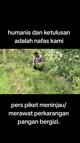 Polri Mendukung Swasembada Pangan & Ketahanan Pangan Polisi Cinta Petani. #swasembadapangan #ketahananpangan #Polrimendukungketahananpangan  #polisicintapetani #polrespidie  #polsekpidie_polrespidie  #aceh #BerantasPremanisme #PolisiRW #Bhabinkamtibmas #BhabinAceh #SosialisasiQanun #PanenJagung #Sambang