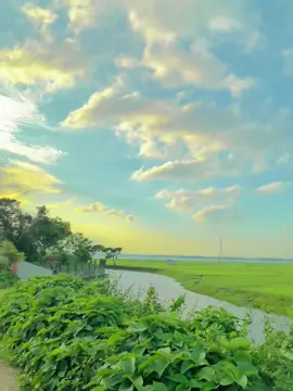 একটা প্রাণীও অন্য প্রাণীর কষ্ট বোঝে আর তুমি মানুষ হয়েও আমার কষ্ট বুঝলা না 😊💔#rs_raju#foryou #foryoupage #fyp #viral 