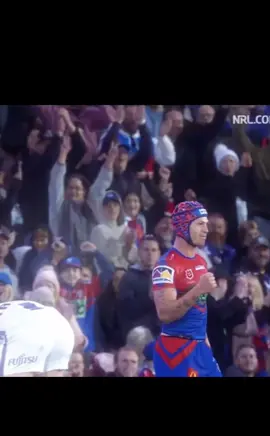 10-in-a-row INCOMING #nrl #fyp #rugbyleague #viral #kp #newcastleknights #australia #footy #makethisviral 