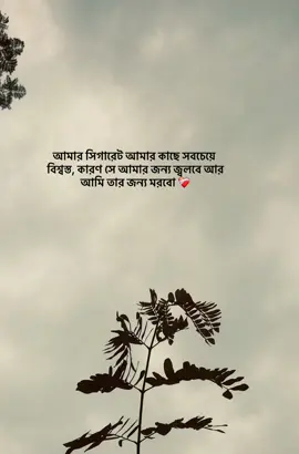❤️‍🩹#foryou #foryoupage #trend #foryoupage #caption #vairalvideo #vairal #weather #view #on #tupac #trending #support #nature #fyp #support #foryou 