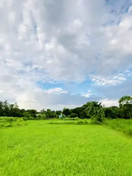 উপরে মেঘলা আকাশ, নিচে সবুজ প্রকৃতি। এ যেন এক বিধাতার সবচেয়ে সুন্দর সৃষ্টি।☁️🌴#tuhin🔪 #tuhinraj_007 #unfreezemyacount #foryou #foryoupage #iphone12pro #narsingdi_bd #নরসিংদী #viralvideo #tiktokviral @tiktok creators 