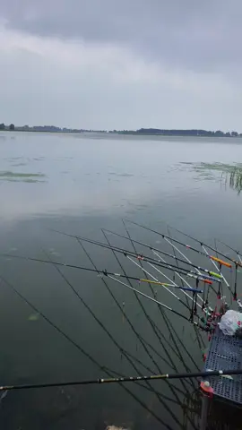 Khi Vợ Bảo Câu Mà Móm Nữa Thì Đừng Về Nhà 😂 #cauca #caucagiaitri #caudai #fishing #vietdocau 