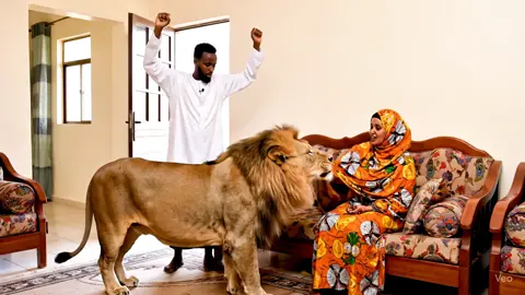 #CapCut #fyp #somalitiktok #somaligirls #capcut_edit #somali #hargeisa #muqdisho #foryoupage❤️❤️ #quranvideo #somalia #gabiley #monkey 