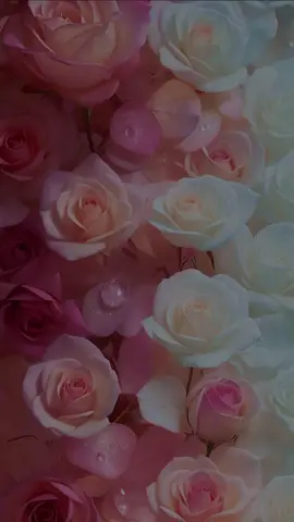 #CapCut #🌼🌼🌼 