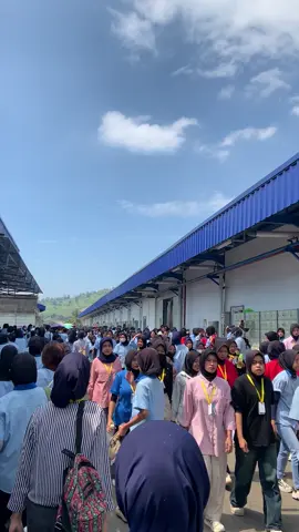 #kulipabrik #pthogareksagarment 