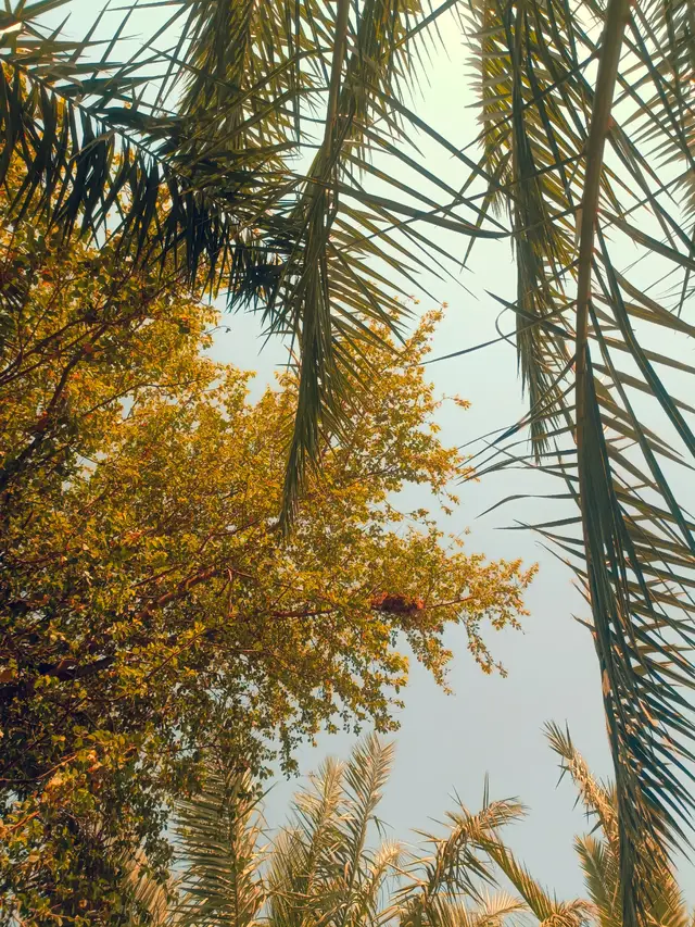 حين يرحل من كانت أحلامنا ترتبط به نشعر وكأن الحياة توقفت عند لحظة الوداع كل خطة رسمناها كل امل عشناه يصبح باهتًا بلا معنى ليس لأننا لا نملك القوة بل لأن الحلم كان يعيش في ملامح ذلك الشخص فيصوته في حضوره وبعظدد رحيله تبقى الأحلام معلقه ما بين السماء والذاكرة لا تهبط ولا تنسو صوته في حضوره ولا بعد رحيله تبقى الأحلام معلقه بين السماء والذاكرة ولا تهبط ولا تنسى