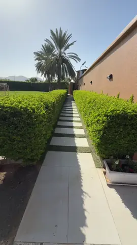 الدورنتا#مشتل الجزيره الخضراء#- [ ] #مشتل الجزيره الخضراء#- [x] مشاتل #مانجو تايلندي #يوسفي # حمضيات# مشاتل نجران #حمضيات الرياض_الان #الشعب_الصيني_ماله_حل😂😂 #الرياض_جده_مكه_الدمام_المدينه #القصيم#الشرقيه_الخبر_الدمام#رؤية_السعودية_2030 #اكسبلورررررررررررررررررررر💥🌟💥🌟💥💥🌟🌟🌟🌟🌟 #اكسبلور #حايل #القصيم_بريده_عنيزه_الرس_البكيرية #بيش #ابها #الصيني_ماله_حل😂😂 #الشرقيه #الباحه #عنيزه #الرياض_الان #الشعب_الصيني_ماله_حل😂😂 #جده #الشعب_الصيني_ماله_حل😂😂 #القصيم #ابها_مدينة_الضباب #الرياض_الان #الرياض_جده_مكه_الدمام_المدينه #الرياض #الشعب_الصيني_ماله_حل😂😂 - [ ] - [ ] #الشعب_الصيني_ماله_حل😂😂 #رؤية_السعودية_2030 #اكسبلورررررررررررررررررررر💥🌟💥🌟💥💥🌟🌟🌟🌟🌟 #الصيني_ماله_حل😂😂 #الرياض_الان #جده #حمضيات #يوسفي #عنيزه #الرياض_الان #الرياض_الان #ابها_مدينة_الضباب #الباحه #الرياض_الان #الشرقيه #الرياض_الان #الرياض_  - [ ] - [ ] جده_مكه_الدمام_المدينه #الصيني_ماله_حل😂😂 #الرياض_الان #ابها_مدينة_الضباب #حمضيات #الشرقيه #يوسفي #الصيني_ماله_  - [ ] - [ ]  حل😂😂 #الشعب_الصيني_ماله_حل😂😂 #الشعب_الصيني_ماله_حل😂😂  - [ ] - [ ] #حمضيات #الرياض_جده_مكه_الدمام_المدينه #القصيم #مانجو #الشعب_الصيني_ماله_حل😂😂 #اكسبلورررررررررررررررررررر💥🌟💥🌟💥💥🌟🌟🌟🌟🌟 #القصيم_بريده_عنيزه_الرس_البكيرية #الصيني_ماله_حل😂😂 #الرياض_الان #اكسبلورررررررررررررررررر#الشعب_الصيني_ماله_حل😂😂 #الصيني_ماله_حل😂😂 #القصيم_بريده_عنيزه_الرس_البكيرية #جده #الرياض_جده_مكه_الدمام_المدينه #القصيم_بريده_عنيزه_الرس_البكيرية #عنيزه #حمضيات #مانجو #الرياض_جده_مكه_الدمام_المدينه #ابها #الرياض_الان #الشعب_الصيني_ماله_حل😂😂 على #الشعب_الصيني_ماله_حل😂😂 #حمضيات #نيوم #جد #اكسبلورررررررررررررررررررر💥🌟💥🌟💥💥🌟🌟🌟🌟🌟 #الرياض_الان #مانجو #الشعب_الصيني_ماله_حل😂😂 