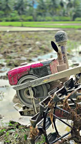 🔥🔥#petanimuda #kubotard85s2 #fyppppppppppppppppppppppp #lewatberanda #petanipadiindonesia🌾🇲🇨 