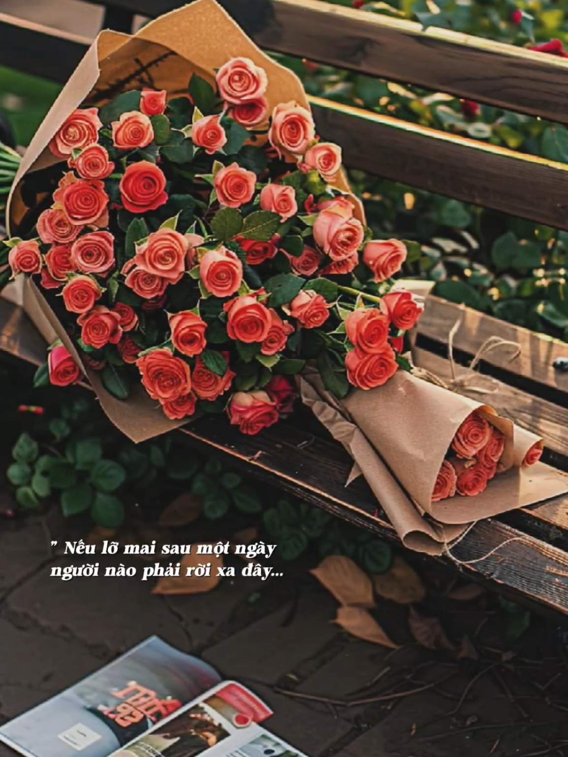 Cuộc đời bao nhiêu sóng gió ta đâu nào để em lo... #tathuongmotnguoi #dunghahakoota #nguyenvanchung #chuongmoi #Bkmuzic #nhachaymoingay 