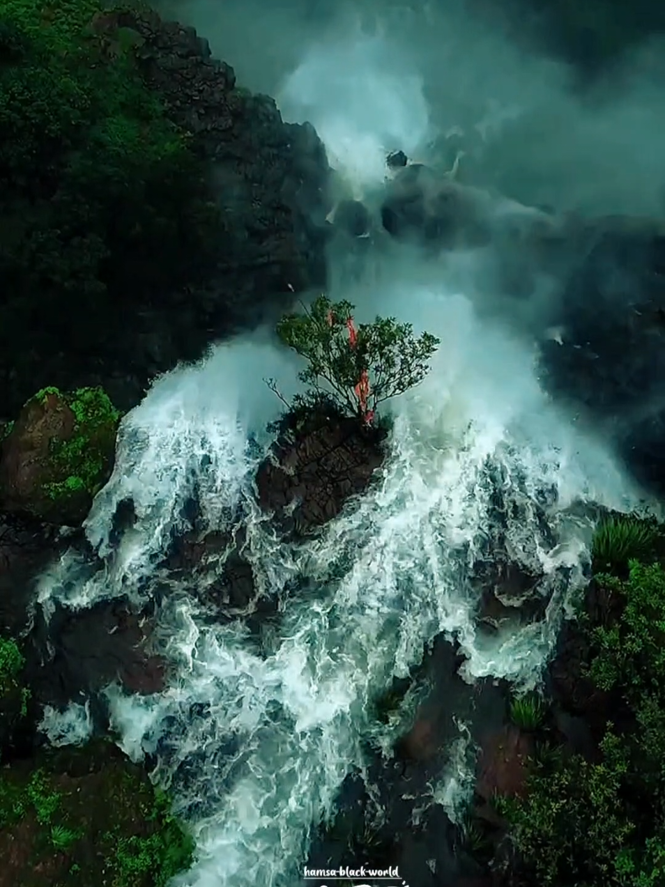 pookkal pookkum tharunam song bgm  #naturevibestamilbgm #naturelover #lovenature #onmillion #foryou #naturez #naturephotography #viral #tamilbgm #waterfall #tamilbgms #naturalvibes #scenery #tamilsong 