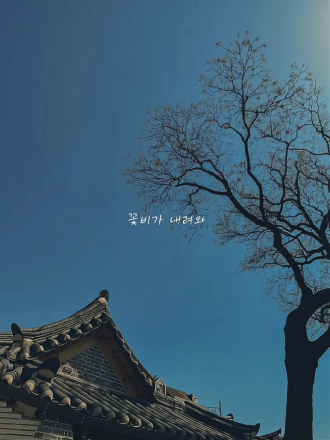 시간을 되돌려 아름다운 그때 다시 돌아가고 싶은데. : 드림 - Bolbbalgan4 (Hwarang Ost.) #한국어가사 #CapCut 