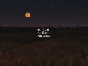 13:19 | instasamka - волосы назпд // #щп #текстпесни #songlyrics #звукидлявидео #звукидлялипсингов #lyrics 