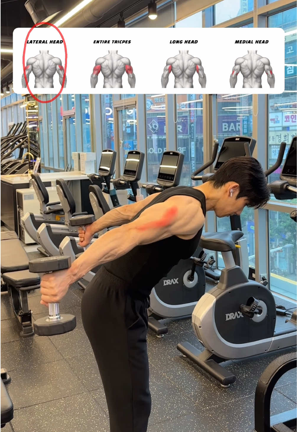 🔸Triceps Shred Guide – Hit Every Head!🔸 1. 킥백 (Kickback) - 팔꿈치를 고정한 상태로 팔을 뒤로 펴는 동작으로 삼두근 외측면 (Lateral Head)에 날카로운 수축 자극을 주게 됩니다. 2. 벤치 딥스 (Bench Dips) - 체중을 이용해 아래로 몸을 내리는 동작으로 삼두근 전체 (Entire Triceps)를 고르게 자극됩니다. 3. 케이블 오버헤드 익스텐션 (Cable Overhead Extension) - 팔을 머리 위로 들어 올려 수행하며 삼두근 장두 (Long Head)에 강한 스트레칭 자극을 주게 됩니다. 4. 언더그립 프레스다운 (Underhand Pressdown) - 손바닥이 위를 향하게 바를 잡고 아래로 눌러주며 삼두근 내측면 (Medial Head)을 세밀하게 자극해 줍니다. #tricepsworkout #biggerarms #tricepsday #armtraining #팔운동 #오운완 #삼두운동 #arms #릴스타그램 #헬린이 #헬스타그램 #armday #armworkout 