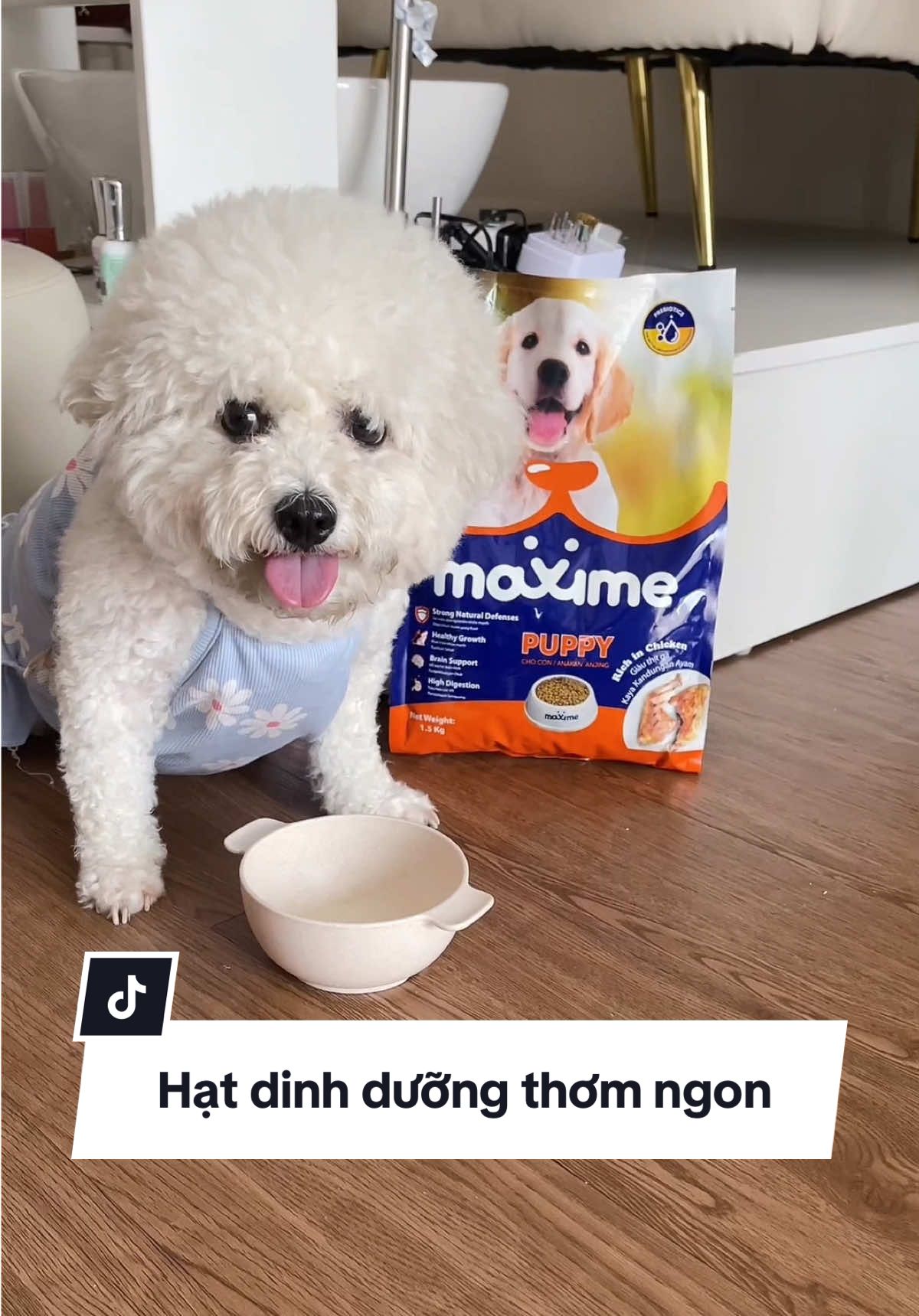 Đã nuôi boss thì nhớ mua hạt dinh dưỡng maxxime cho boss ăn nha mọi người #thucanchomeo #thucanchothucung #thucanchocho #sansalecungtrang 