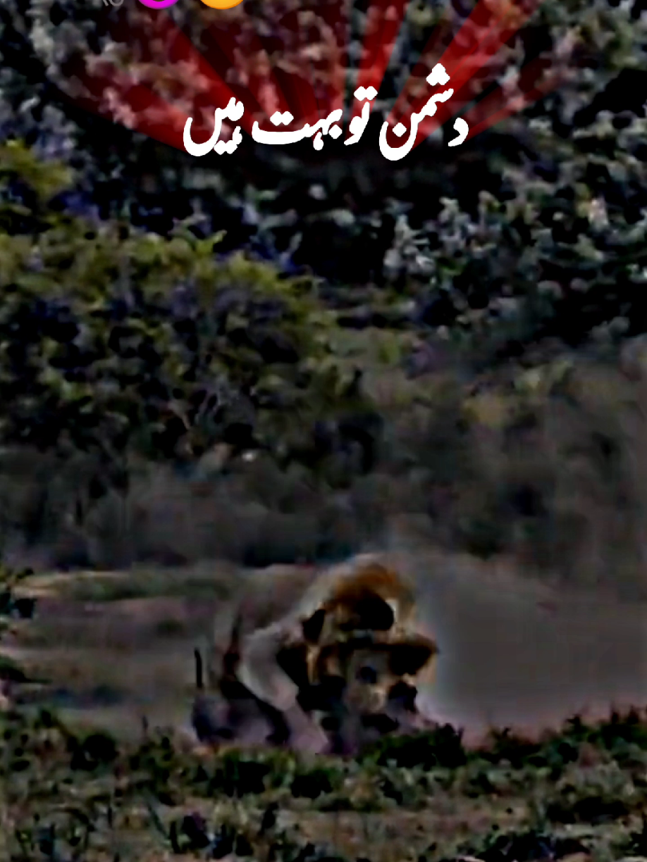 دشمن تو بہت ہیں🥰😘😍#foryoupage #🖇️✨🥀💔 #standwithkashmir #fyp #a Urdu poetry #500k#poetrystatus #viralmyvideoplztiktok #whatsappstatus #goviral#NotYourAffan#500k 