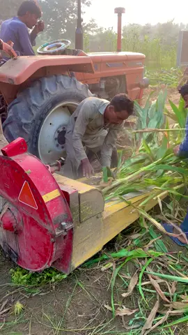 Corn silage making machine#viralshort #shortvideo #farming #shorts #viral #viralshort #shortvideo #shorts #video #viralvideo #trendingshorts #VoiceEffects #viralshorts #food #experimnent #chaffcutter #shortsviral #machine #shortvideos #Vlog #shortsvideo #tik_tok #videoviral #growmyaccount #growmyaccount #growmyaccount 