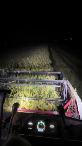 Umume MT2 wo 😇#maxibimo102ss #combineharvester #berkahtani🌾 #opratormuda_punyacerita 